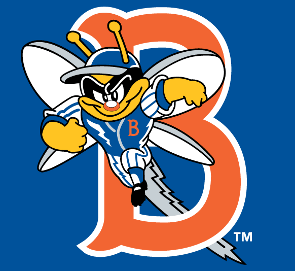 Binghamton Mets pres cap logo iron on heat transfer